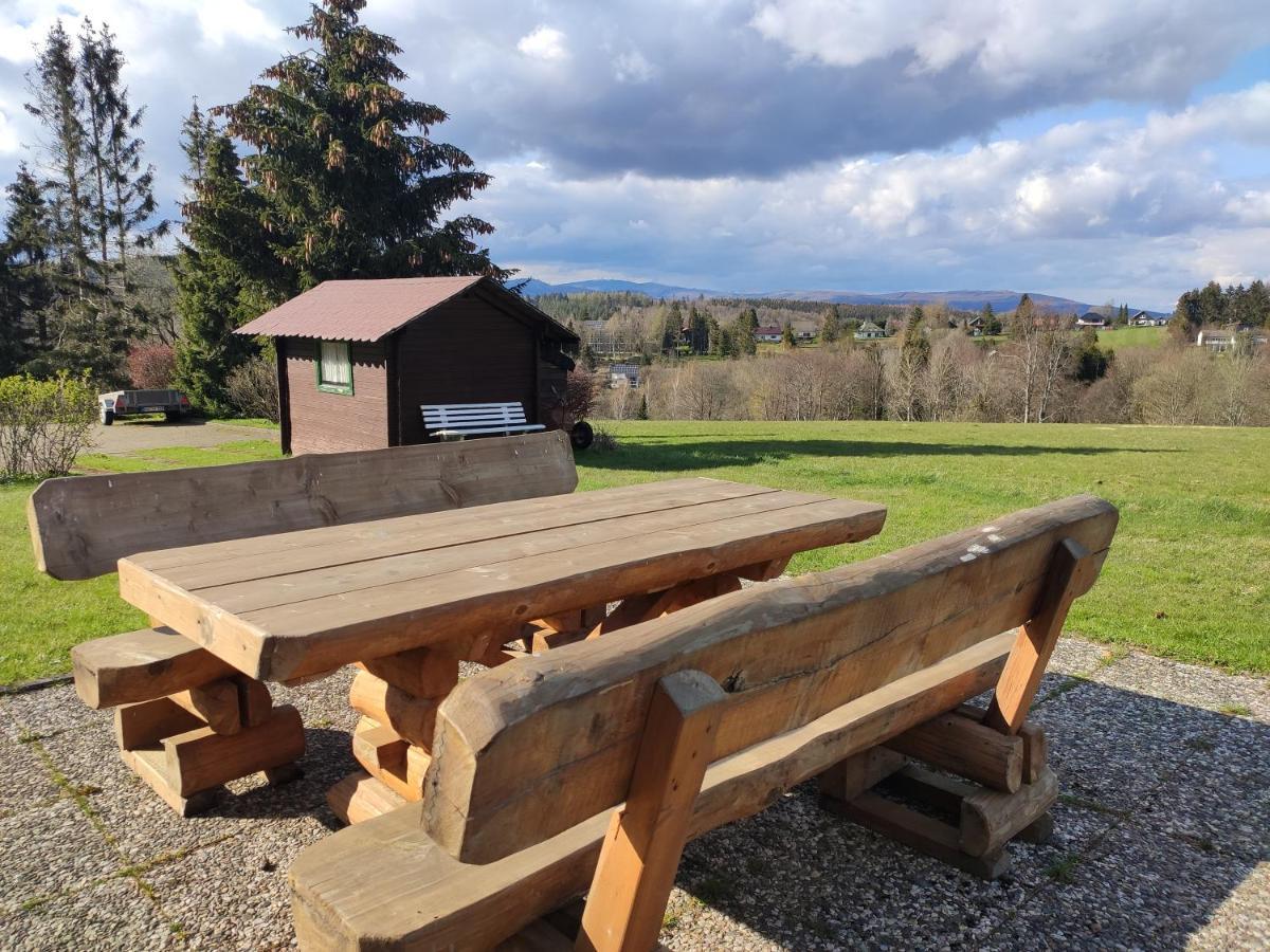Ferienwohnung Harzluchs Mit Balkon, Netflix Und Sauna Im Haus Hohegeiß Esterno foto