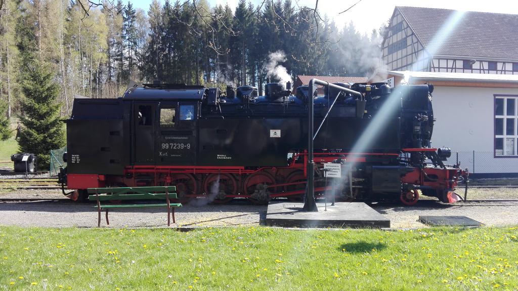 Ferienwohnung Harzluchs Mit Balkon, Netflix Und Sauna Im Haus Hohegeiß Esterno foto
