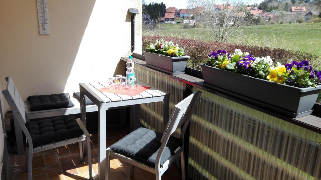 Ferienwohnung Harzluchs Mit Balkon, Netflix Und Sauna Im Haus Hohegeiß Esterno foto