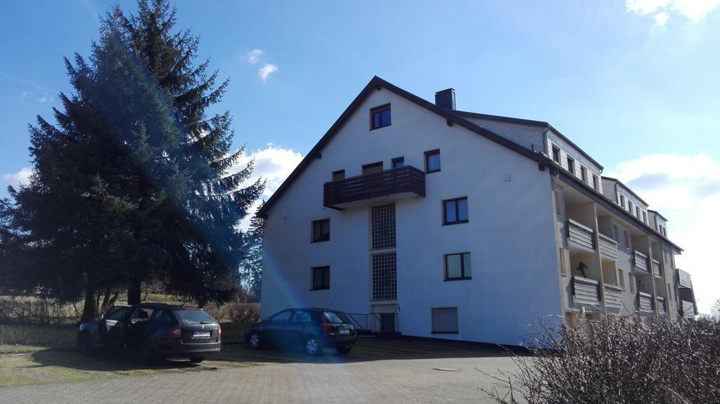 Ferienwohnung Harzluchs Mit Balkon, Netflix Und Sauna Im Haus Hohegeiß Esterno foto